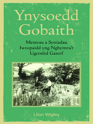 cover image of Ynysoedd Gobaith